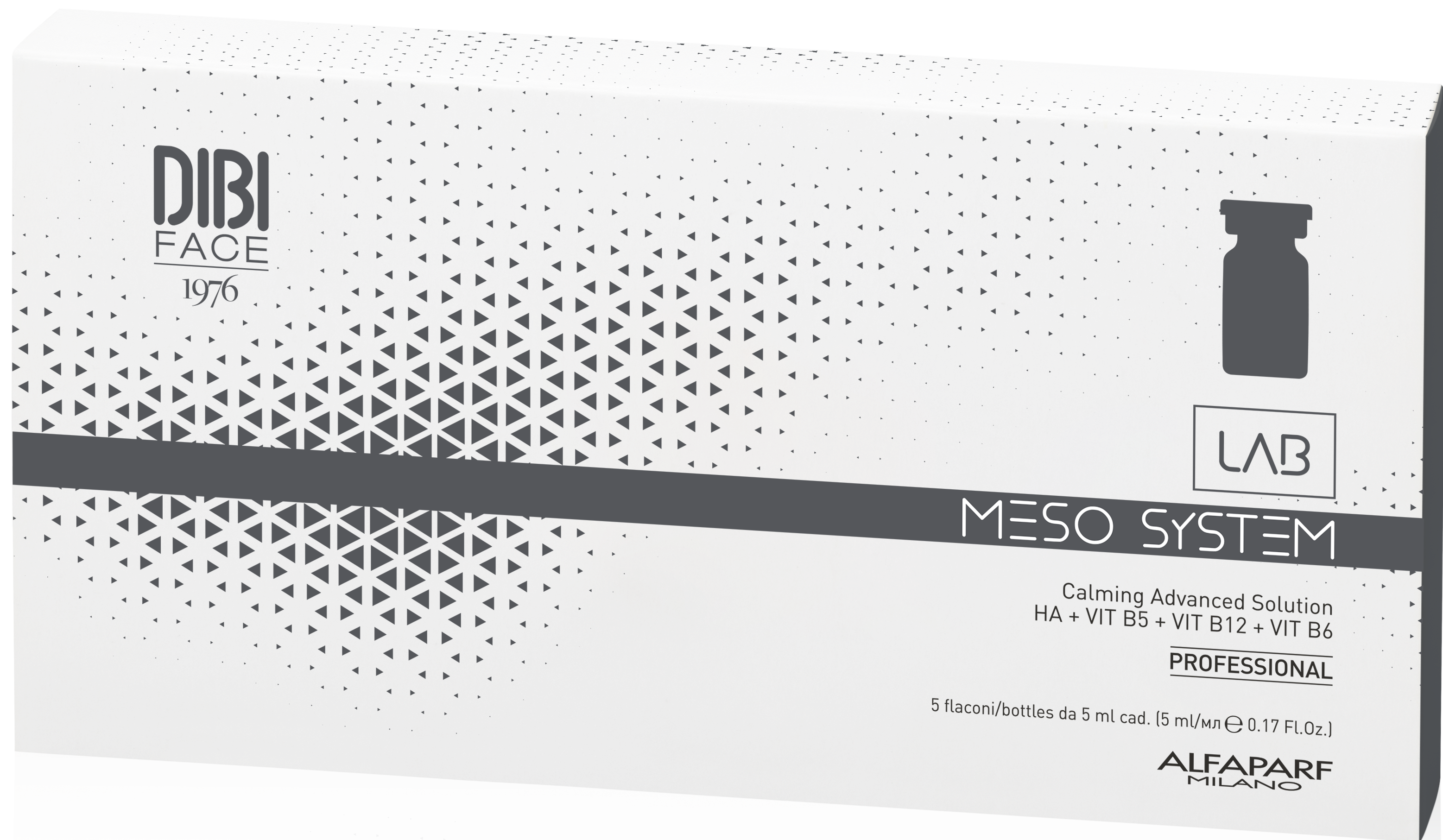 Messo System Meso system lab - DIBI Milano